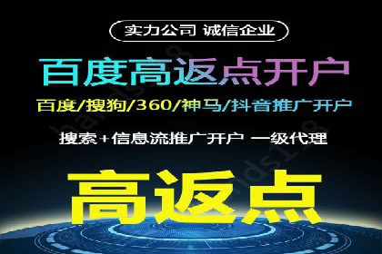 竞价广告赚钱案例：从新手到专家
